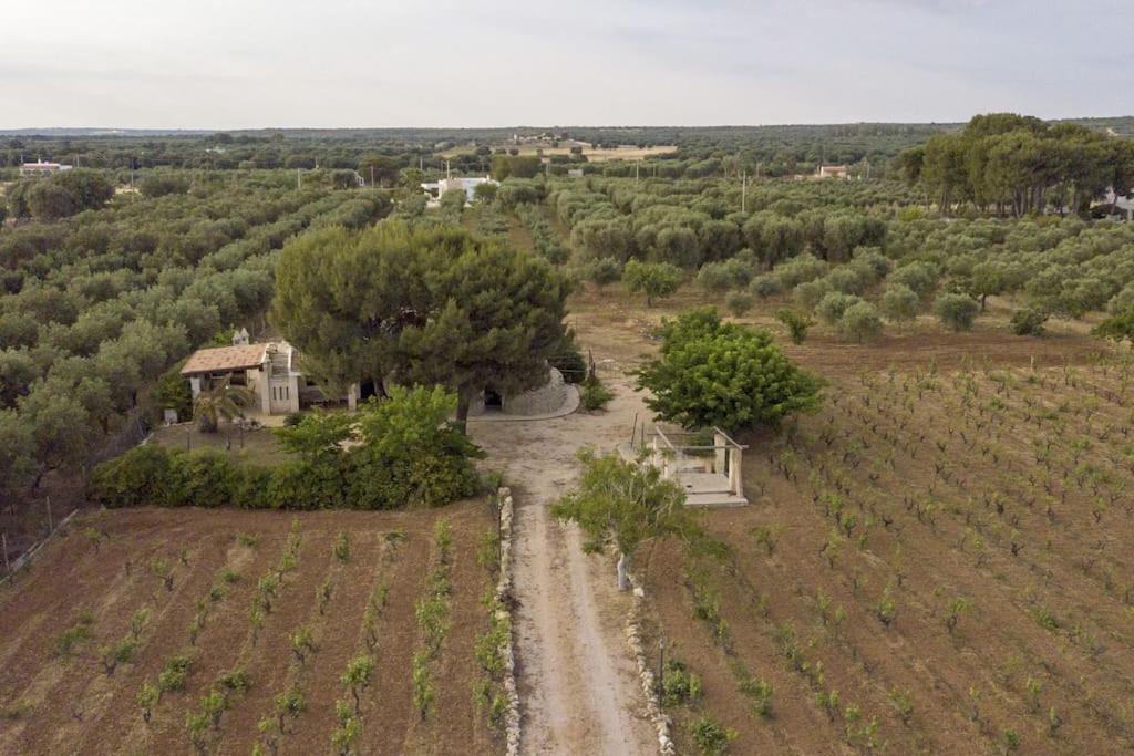 Villa Principe Degli Olivi Маруджо Екстериор снимка